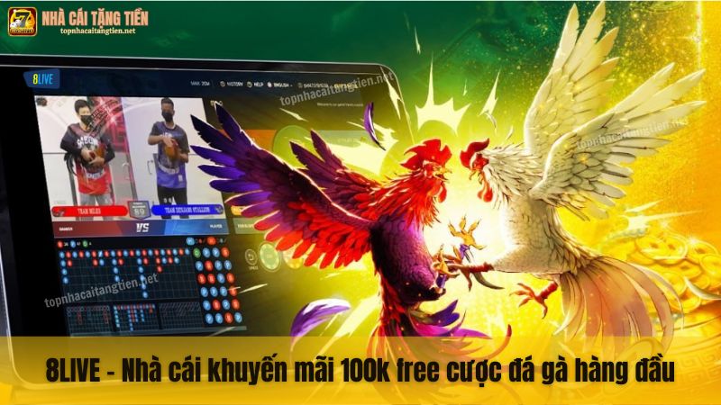 8LIVE - Nhà cái khuyến mãi 100k free cược đá gà hàng đầu