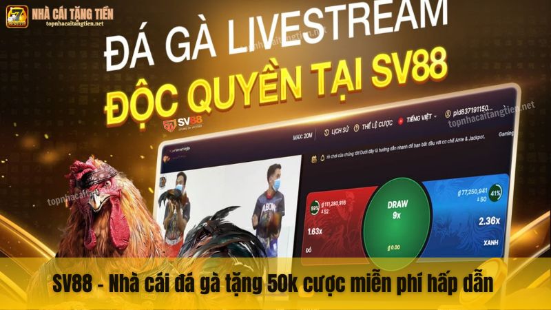 SV88 - Nhà cái đá gà tặng 50k cược miễn phí hấp dẫn