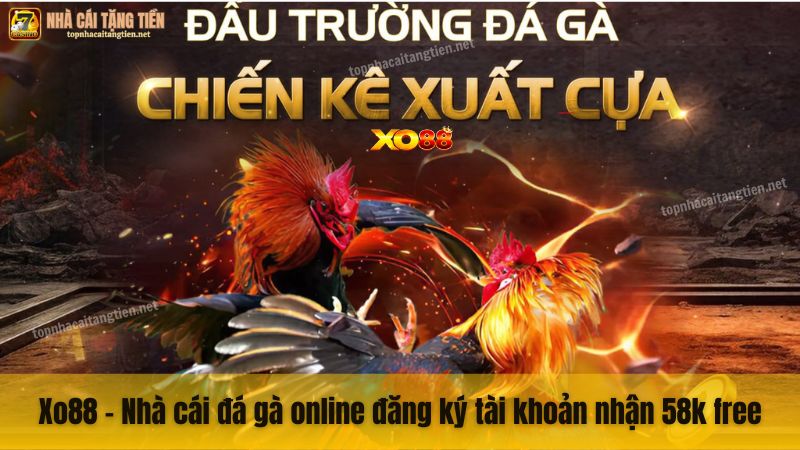 Xo88 - Nhà cái đá gà online đăng ký tài khoản nhận 58k free